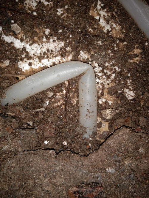 富顺堵点精准查找